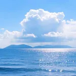 Avatar of Naeem Shah