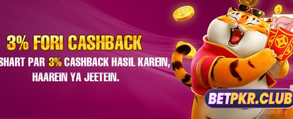 Secure Payment Options